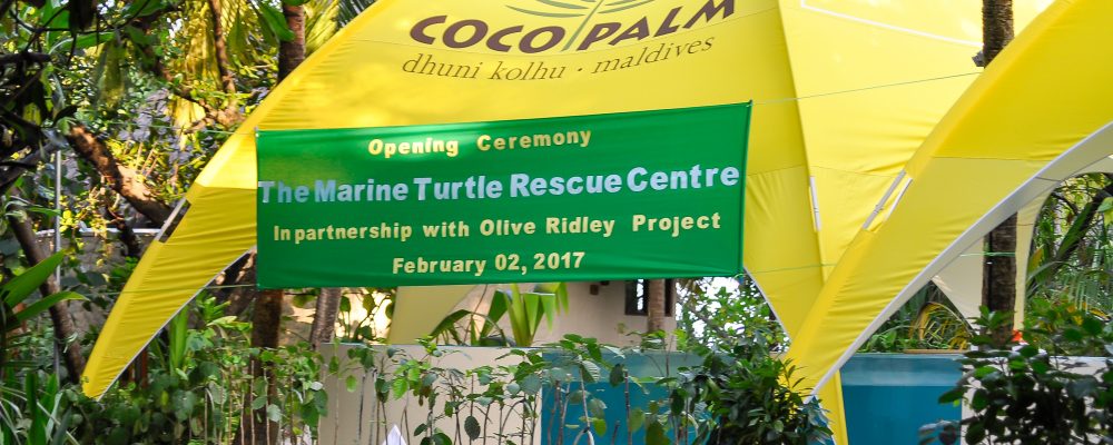 Coco Collection opens Maldives’ first Turtle Rescue Centre in partnership with the Olive Ridley Project