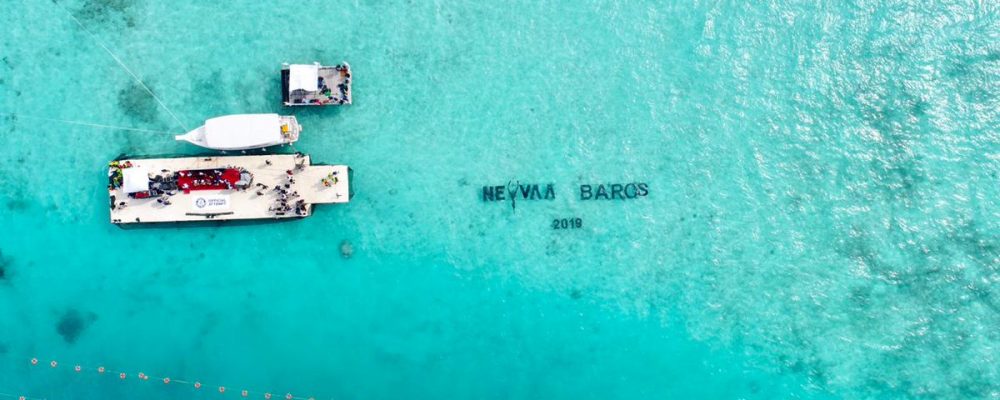Maldives Breaks the Freediving World Record with 520 Participants