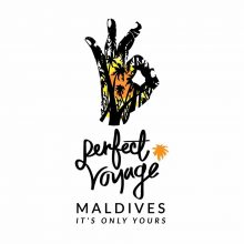 Perfect Voyage Private Limited