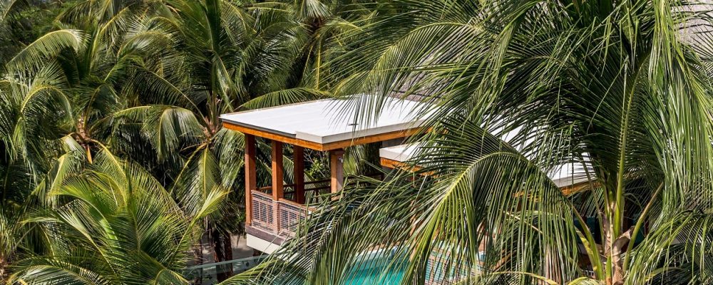 Tree-Top Treatment: Amilla Fushi Elevates Spa Retreat Concept To Fresh Heights With New Wellness Tree Houses By Bodyism